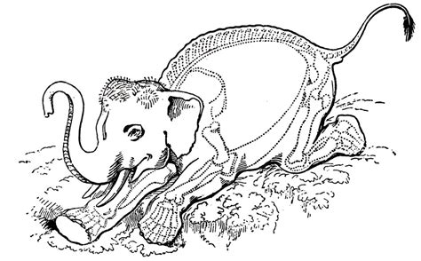  The White Elephant – A Tale of Wisdom and Unforeseen Fortune in 14th Century Thailand?